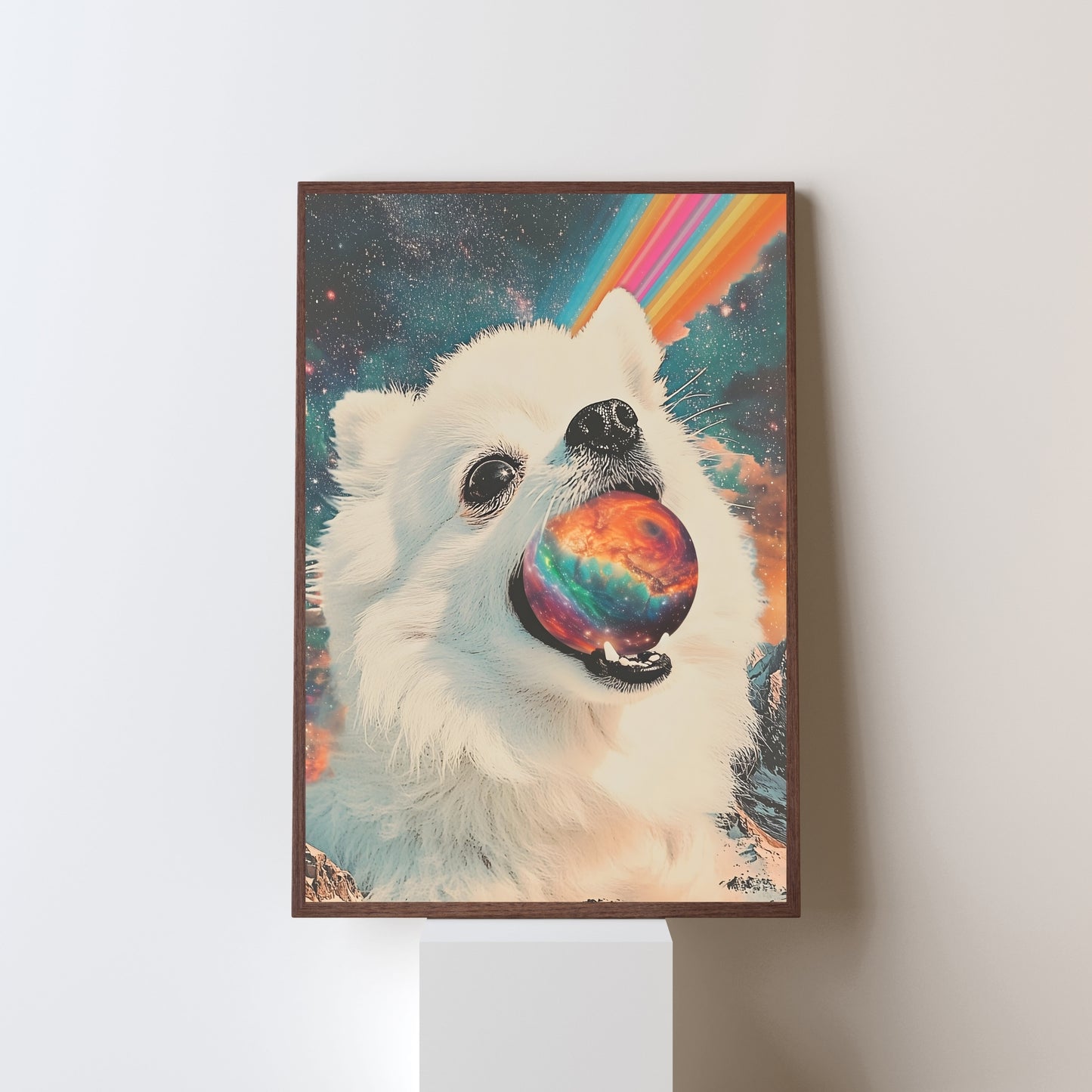 Pom in Space